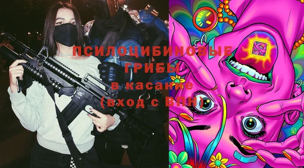 spice Гусь-Хрустальный