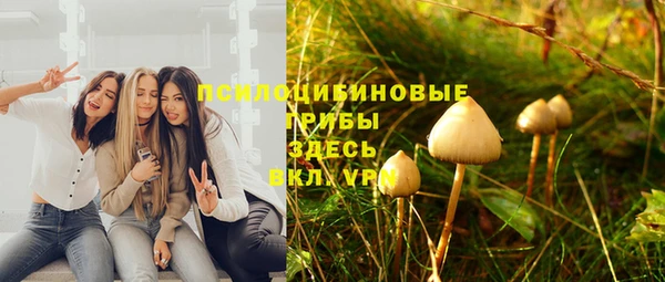 гидра Горно-Алтайск