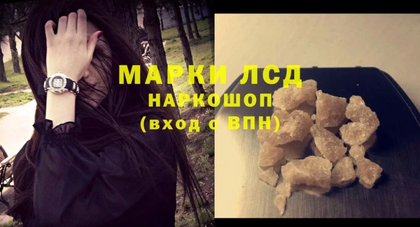 шишки Гусев