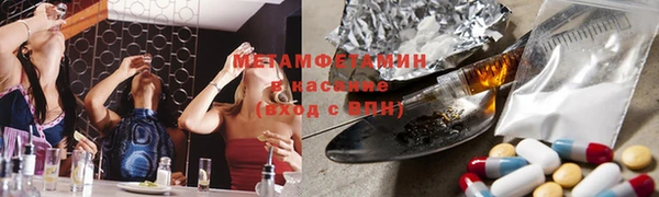 шишки Гусев