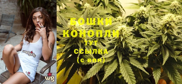 шишки Гусев