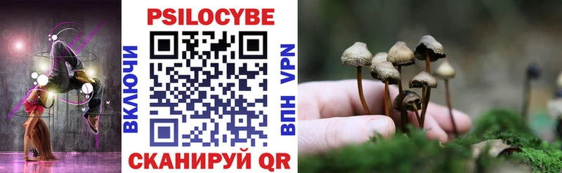 KRAKEN как зайти  Балаково  Псилоцибиновые грибы MAGIC MUSHROOMS 